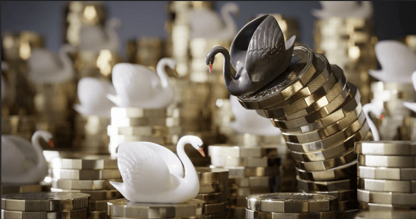 Stress-Testing Your Financial Plan: Is Your Strategy Ready for the Next Black Swan Event?